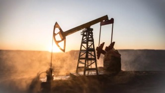 史上最大战略石油储备释放计划砸向市场，但国际油价继续冲高