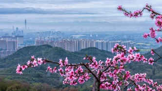 两会深观察｜“双碳”牵引，何以定义中国发展底色