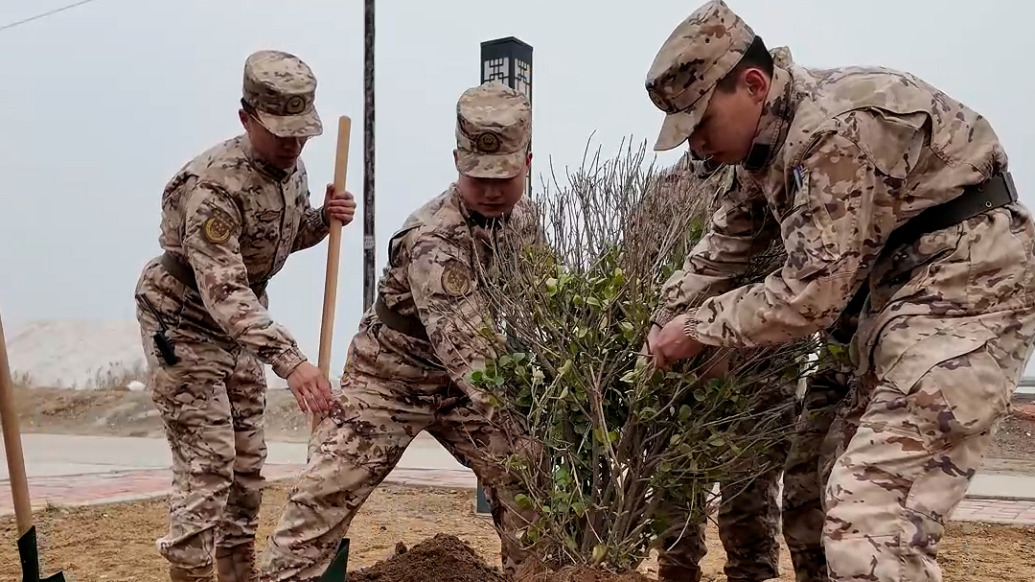 从寸草不生到绿意盎然，武警官兵让盐碱地焕发生机