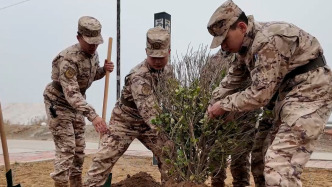 从寸草不生到绿意盎然，武警官兵让盐碱地焕发生机