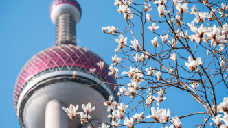 黄浦江畔“好声音”，激荡两会“春日之约”
