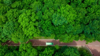 我国林草覆盖率超56%