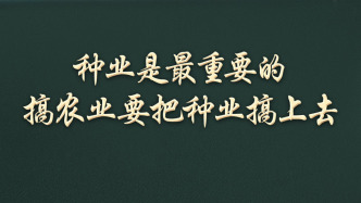 習(xí)語(yǔ)丨一粒小小的種子，何以讓總書(shū)記如此牽掛？