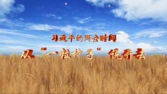 习近平的两会时间丨从“一粒种子”说开去