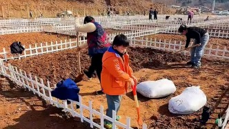 濟(jì)南一“共享菜園”走紅，工作人員：親子家庭占客群七成