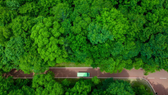 新华鲜报｜春已至！“植”绿山河