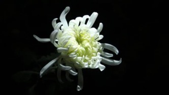 遙感科學(xué)專家、北師大教授張錦水逝世