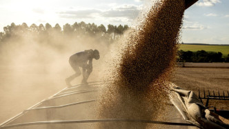 一图看懂｜从能源到餐桌：霍尔木兹海峡的石油风暴会引发粮食危机吗？