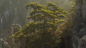 華中科技大學(xué)法學(xué)院教師范長軍逝世