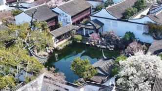 游人竞相打卡赏玉兰，苏州网师园68年来第一次提早开园