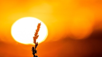 强厄尔尼诺现象最早将于今夏形成，今明两年或刷新高温纪录