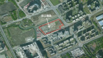68.09亿元！上海马年首批宅地拍卖落锤，涉青浦、徐汇、嘉定