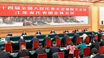 一见·代表委员通道，总书记为何持续关注