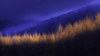 浙江摄影家｜岁月流光中的一尾鱼：戚丹丹的视觉诗行