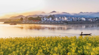 兩會特別報(bào)道丨以法為綱 山青水長——《中華人民共和國生態(tài)環(huán)境法典》誕生記