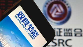 雙良節(jié)能：因涉嫌信息披露違法違規(guī)行為，證監(jiān)會決定對控股股東雙良集團(tuán)立案