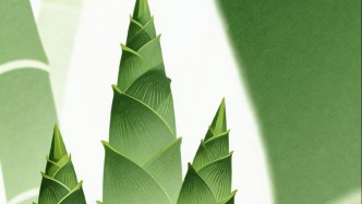 身體周刊 | 春生萬(wàn)物長(zhǎng)，身高節(jié)節(jié)漲