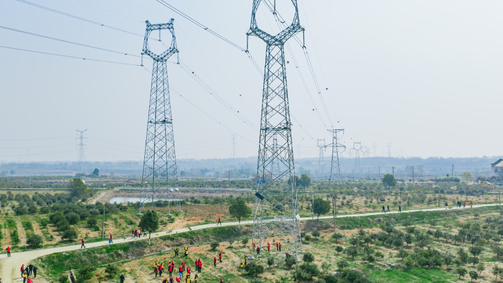供电公司向高压线塔下的村庄赠送“长不高”的油茶树苗，护电网安全助农民增收 