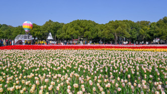 上海“春日首发季”广迎宾客,带来38项文商旅体展联动活动