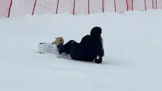 新疆阿勒泰咬人狐狸被滑雪场员工打死？警方通报：已放归自然