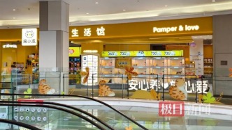 多名宠物消费者深陷“猫贷”：商家用“免费领养”引流，以“储值”为名捆绑消费