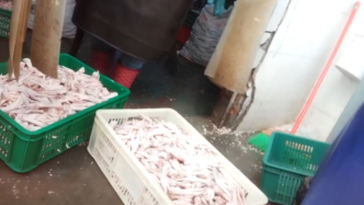 四川市場(chǎng)監(jiān)督管理局：針對(duì)漂白雞爪等問題，將開展食品生產(chǎn)加工專項(xiàng)整治