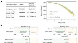 Nature Health：浙江大学发现，这种中国特色饮食，能够显著降低肥胖和心血管风险，对男性尤其有效