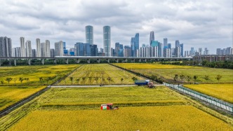 深觀察｜五年規(guī)劃，何以“法”定乾坤？