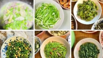 上海的春天，在菜里