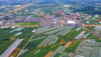 云南弥勒市设立东风街道，范围涵盖原东风农场片区