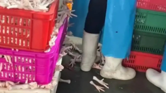 315曝光，爱吃鸡爪的被背刺了