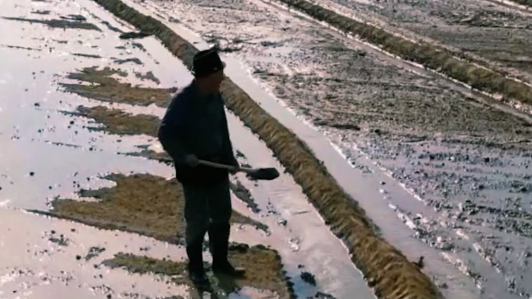新疆：开都孔雀河春灌进行时，6.15亿立方米水源“解渴”田间