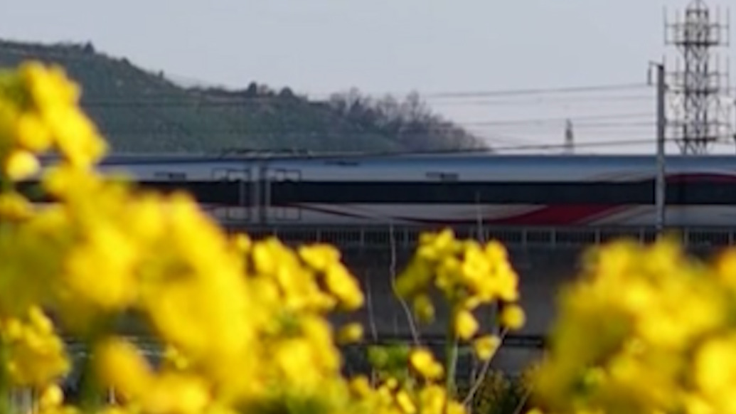 穿過(guò)油菜花海，高鐵飛馳開(kāi)往春天