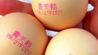 黃天鵝再回應(yīng)雞蛋檢出“角黃素”爭(zhēng)議：已完成現(xiàn)場(chǎng)抽檢，將公布官方檢測(cè)結(jié)果