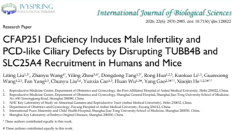 精子“馬達(dá)”為何熄火？科學(xué)家揪出關(guān)鍵基因缺陷，并為治療帶來(lái)確切希望