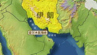 國際海事組織：霍爾木茲海峽護航不是長久之計