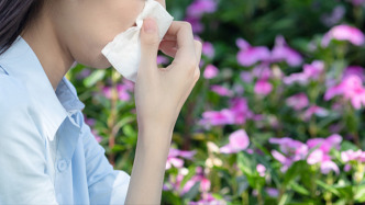為什么以前花粉不過(guò)敏，今年卻出現(xiàn)過(guò)敏癥狀？專家解答