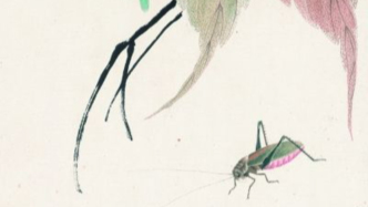 齊白石的草間“問蟲”：源于對(duì)自然的好奇與追問