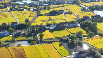 再延長30年！我國全面開展農村承包地二輪到期延包整省試點