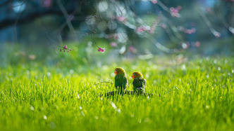 夜讀｜思親不覺冬去，念舊方知春回