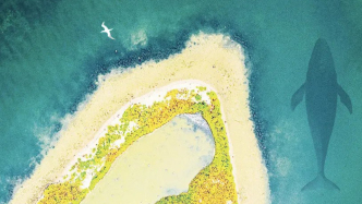 譯者手記｜“新自然文學”的蘇格蘭口音