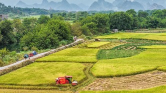 人民日報：保持土地承包關系穩(wěn)定并長久不變