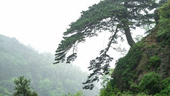 原國防科大教授賀漢根逝世，曾帶隊(duì)研制出我國第一輛無人車