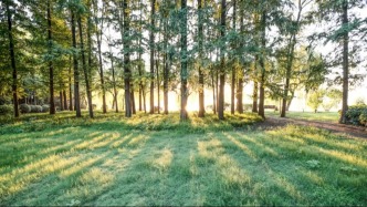 重慶春天必去8大絕美公園，好看又好玩，踏青超出片