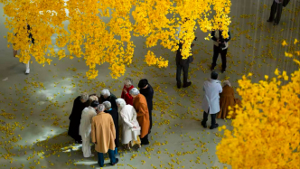 播客｜誰(shuí)看了上海雙年展？