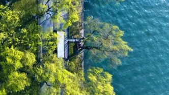 文化中國行·聯(lián)播一瞬丨雙份驚喜！春分遇上“龍?zhí)ь^”