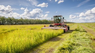 兩高發(fā)布懲治“三農”領域職務犯罪典型案例，涉農民養(yǎng)老保險等領域