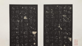 陈麦青｜上海图书馆藏隋《常丑奴墓志》善本两种读后