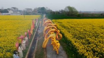 二月二“龍?zhí)ь^”，宣城非遺龍燈魚燈舞進(jìn)油菜花田祈豐年