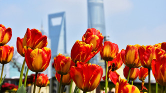 上海健康播報(bào)｜春分時(shí)節(jié)乍暖還寒，如何防范疾病之?dāng)_